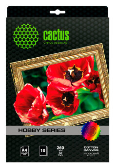 Холст Cactus CS-CA426010 A4/260г/м2/10л. для струйной печати